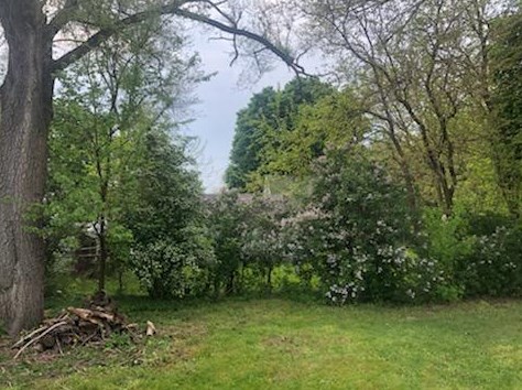 3047 Highgate Ave, Wyoming MI 49509-2901 exterior