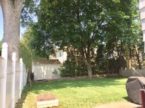 12 Westland Ter, Newton MA 02465-1524 exterior