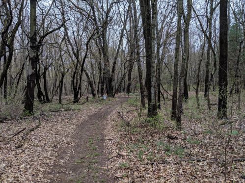 3763 2 St, Kalamazoo MI 49009-9319 exterior