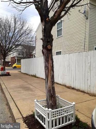 1211 5th St, Philadelphia PA  19147-5204 exterior