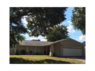 4020 Braesgate Ln, Tampa FL  33624-1845 exterior