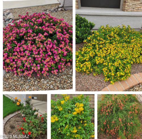 1609 Native Stone Pl, Tucson AZ  85748-7731 exterior