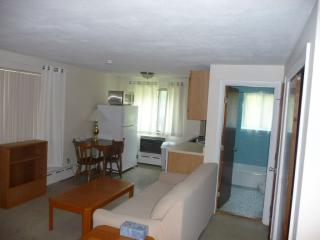 17 Chester St, Cambridge MA  02140-1201 exterior