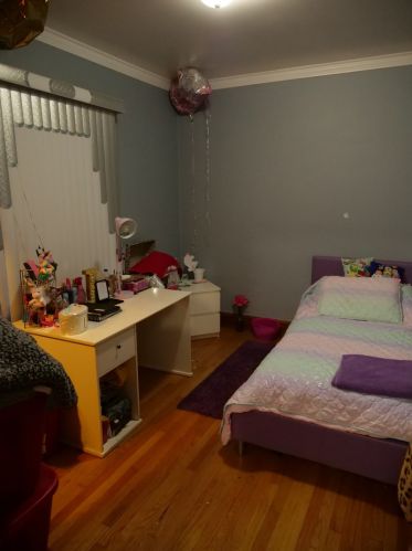 1239 57 Ct, Chicago IL 60804-4233 exterior