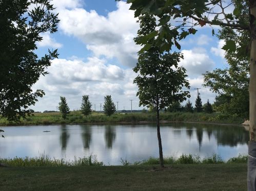 7805 Morgana Dr, Joliet IL 60431-8042 exterior