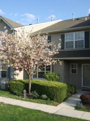 5704 Drawbridge Ct, Limerick PA  19468-1381 exterior