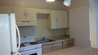 1427 Crestmont Ave, Camden NJ  08103-3103 exterior