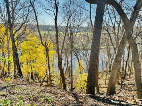 1031 Maynard Rd, Portland MI  48875-1223 exterior