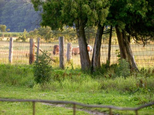 50002 M 51, Dowagiac MI 49047-9631 exterior