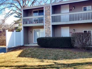 1118 Olive Village Ct, Saint Louis MO  63132-3147 exterior