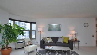 810 State St, Chicago IL  60610-3319 exterior