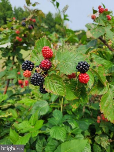 262 Lk Rd, Pilesgrove NJ 08098-3008 exterior