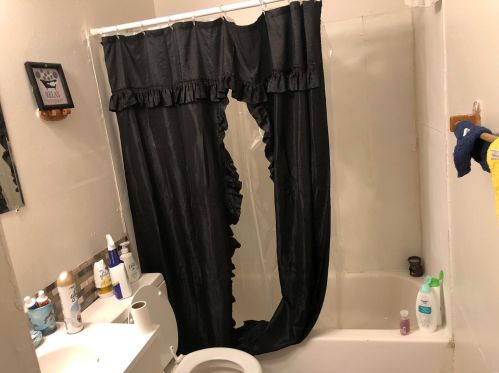 2844 Burd Ave, Saint Louis MO 63112-4216 exterior