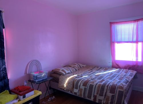 12730 Wallace St, Chicago IL 60628-7115 exterior