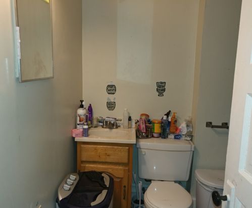 4801 Ada St, Chicago IL 60609-5919 exterior