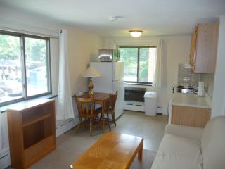 17 Chester St, Cambridge MA  02140-1201 exterior