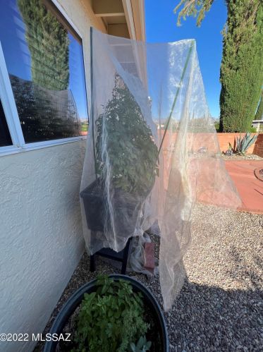 1129 Alpine Cir, Green Valley AZ 85614-1817 exterior