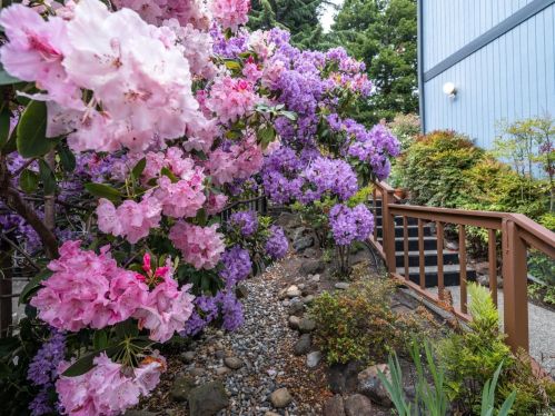 113 Belvedere Dr, Mill Valley CA 94941-2419 exterior