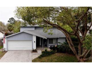 15717 Country Lake Dr, Tampa, FL 33624-1514