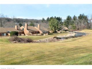 9 Catalpa Ct, Avon, CT 06001-4511