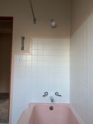 1004 Marion St, Joliet IL 60436-1431 exterior