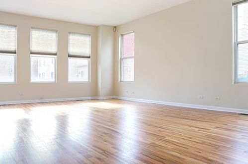 220 Bell Ave, Chicago, IL 60612-2972