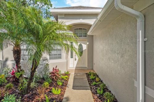 15408 Montilla Loop, Tampa FL  33625-2468 exterior