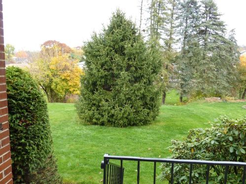 306 Regina St, Pittsburgh, PA 15209-1536