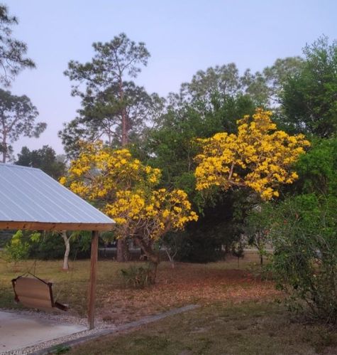 3160 31 Ave, Naples FL 34117-8455 exterior