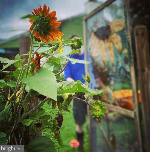 3 War Admiral Ln, Media PA 19063-5238 exterior