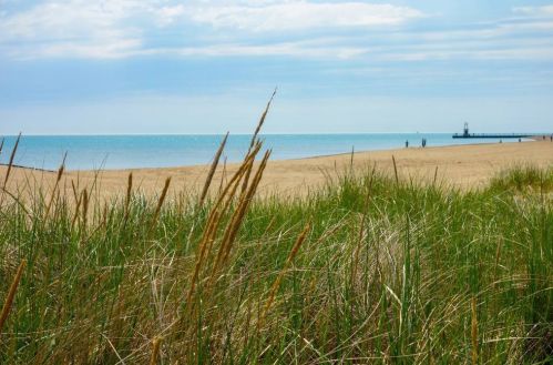 1225 Greenleaf Ave, Chicago, IL 60626-2918