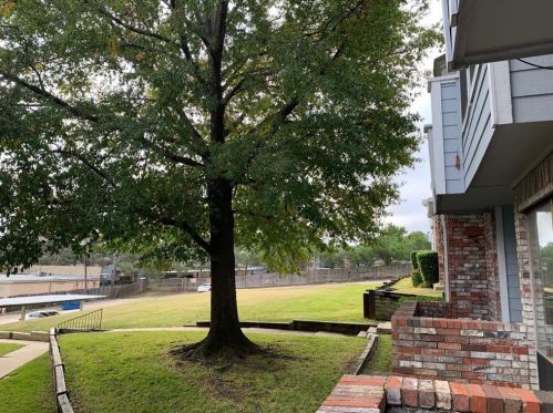 3416 Country Club Dr, Irving TX  75038-7417 exterior