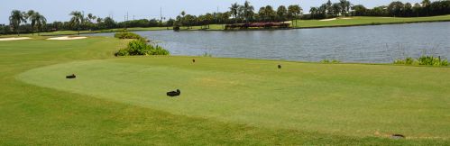 11 Gln Dr, Boynton Beach FL 33436-6207 exterior