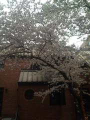 1672 Oak St, Washington DC  20010-1818 exterior