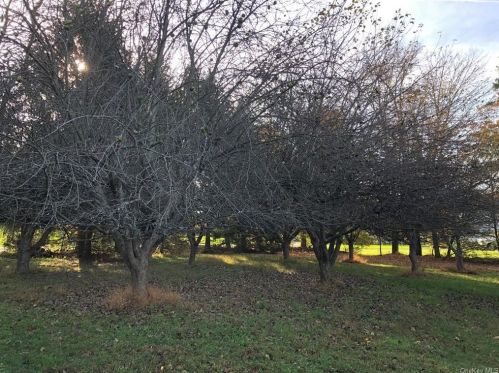 10 Farm Mdw Ln, Montgomery NY 12549-2100 exterior