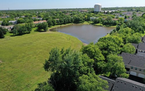 238 Butternut Ln, Streamwood IL 60107-2259 exterior