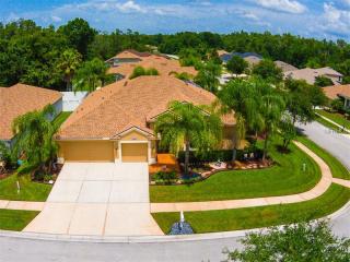 5035 Silver Charm Ter, Zephyrhills, FL 33544-1583