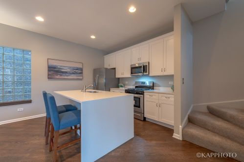 957 Honore St, Chicago IL 60657-2007 exterior