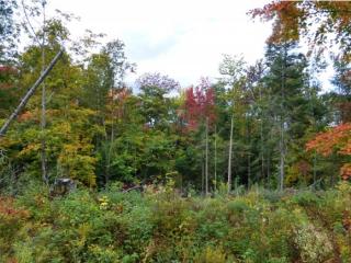 1 Page Rd, Lowell, VT 05847-9658