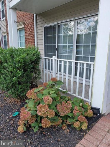 48 Lehavre Ct, Trenton NJ  08619-4723 exterior