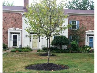 1021 Trevitt Cir, Cleveland OH  44143-2426 exterior