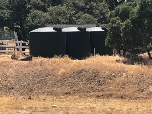 2040 Grn Spg Rd, Folsom CA 95762-9722 exterior