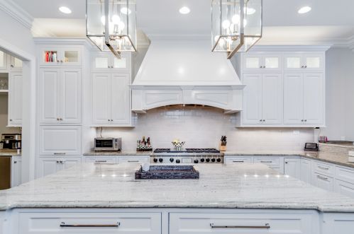 1512 Wieland St, Chicago IL 60610-1233 exterior