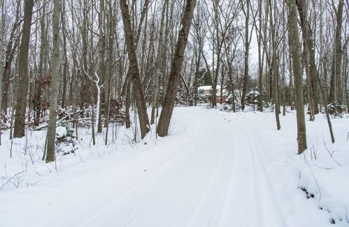 2910 5 St, Kalamazoo MI 49009-8589 exterior