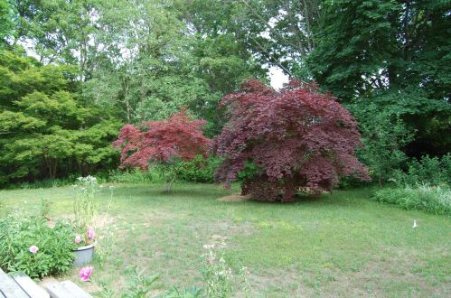 164 Samoset Rd, Eastham MA 02642-3144 exterior