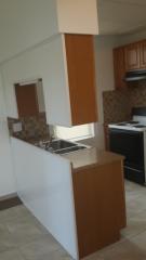 3638 Dunnica Ave, Saint Louis MO  63116-4902 exterior