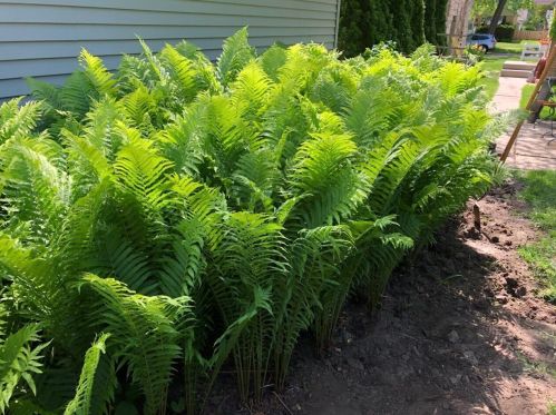 5660 Braeburn Ln, Milwaukee WI 53209-3328 exterior