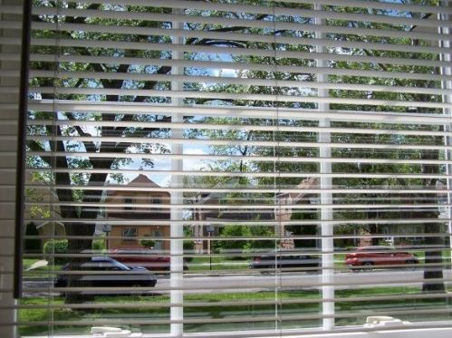 8841 Michigan Ave, Chicago IL 60628-1447 exterior