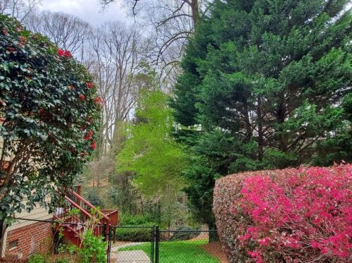 1401 Council Blf Dr, Atlanta GA 30345-4133 exterior