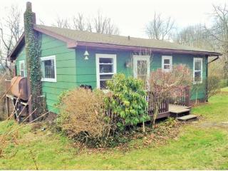 556 Deaverview Rd, Asheville, NC 28806-1317